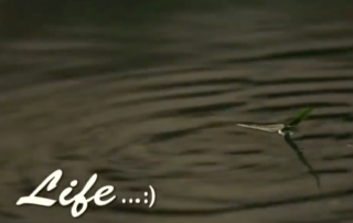 Screenshot from movie